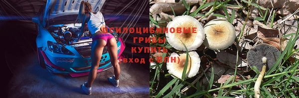 первитин Богородск