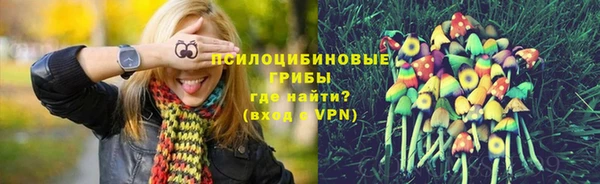 первитин Богородск