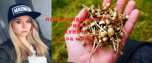 соль курить ск Богородицк