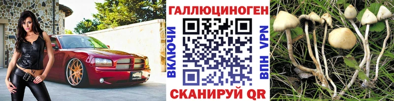 MEGA маркетплейс  закладка  Верхотурье  Галлюциногенные грибы мухоморы 